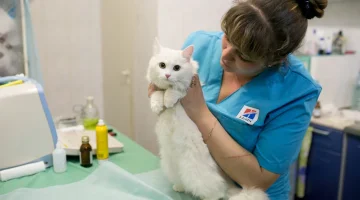 Ветеринарная клиника Лель изображение 8